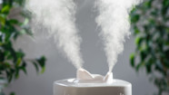 The 5 Health Benefits Of Using A Humidifier GoodRx