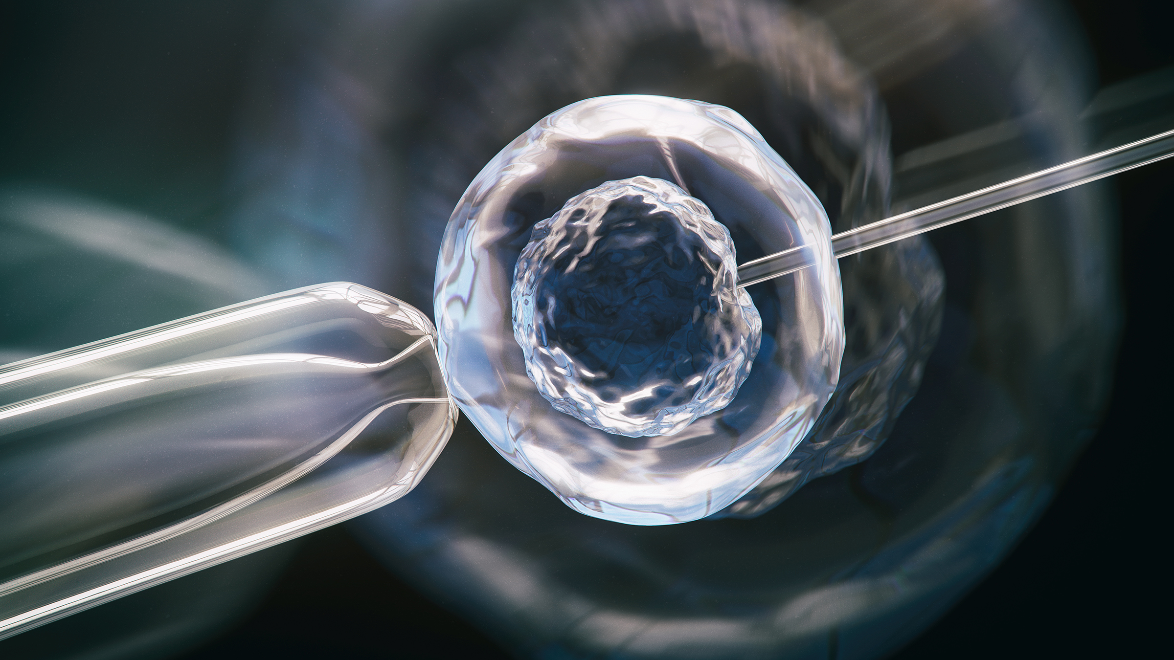 Fertility: in vitro microscopic 1277229089