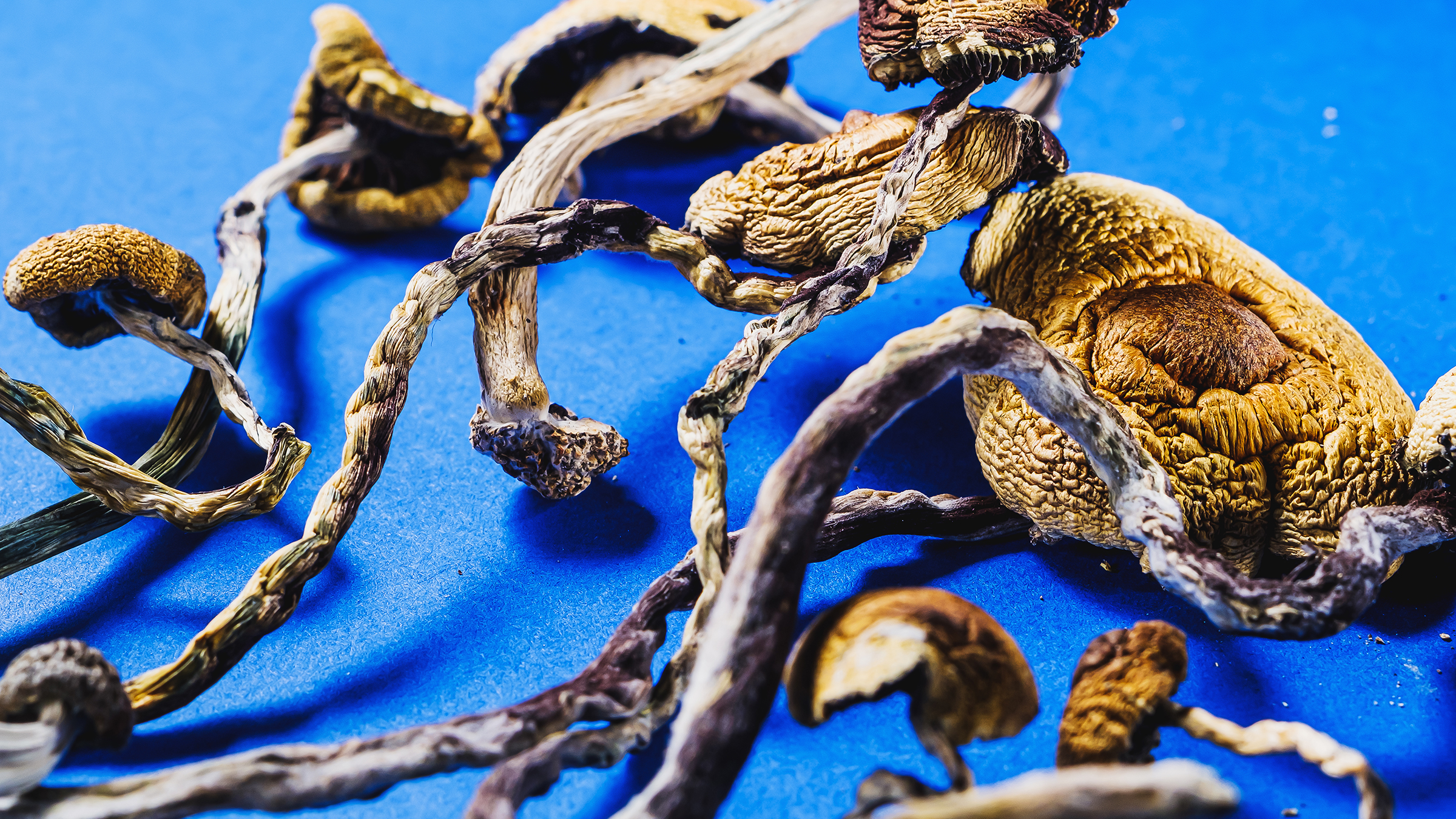mushrooms and glp 1 Psilocybin for Anxiety: Is It an Effective Treatment Option?
