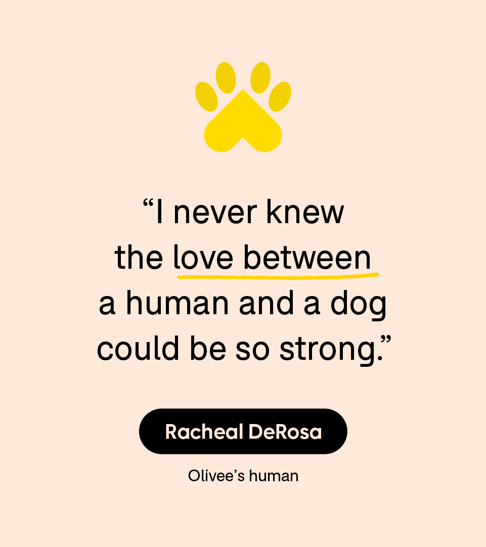 “I never knew the love between a human and a dog could be so strong.” —  Racheal DeRosa, Olivee’s human