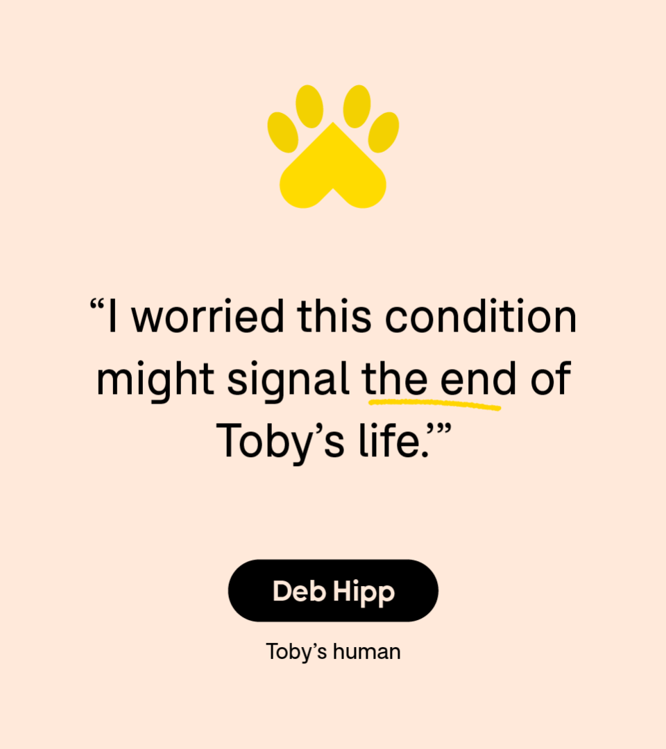 “I worried this condition might signal the end of Toby’s life.” — Deb Hipp