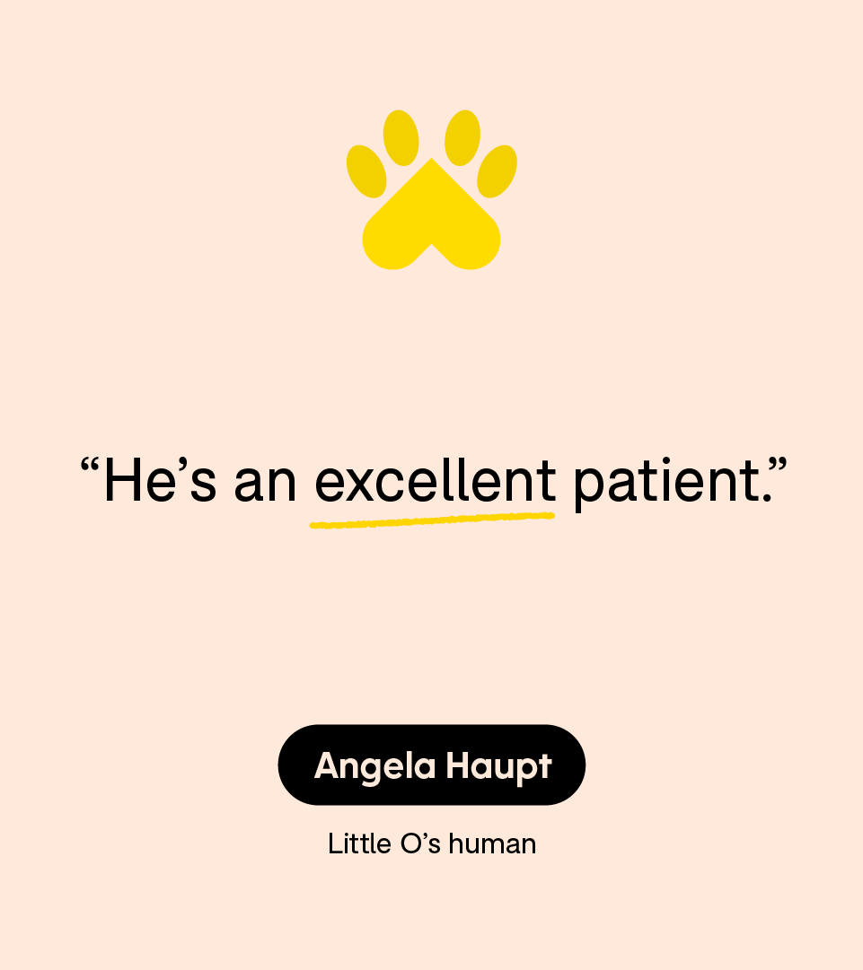 “He’s an excellent patient.” — Angela Haupt, Little O’s human
