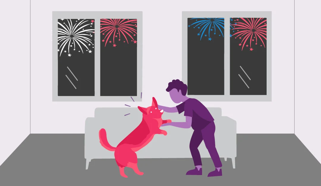 How to Calm Your Pet During 4th of July Fireworks