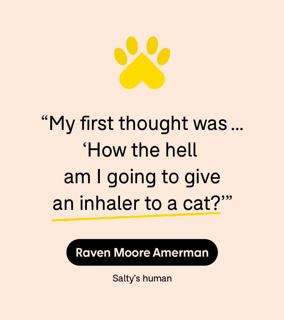 “My first thought was … ‘How the hell am I going to give an inhaler to a cat?’” — Raven Moore Amerman