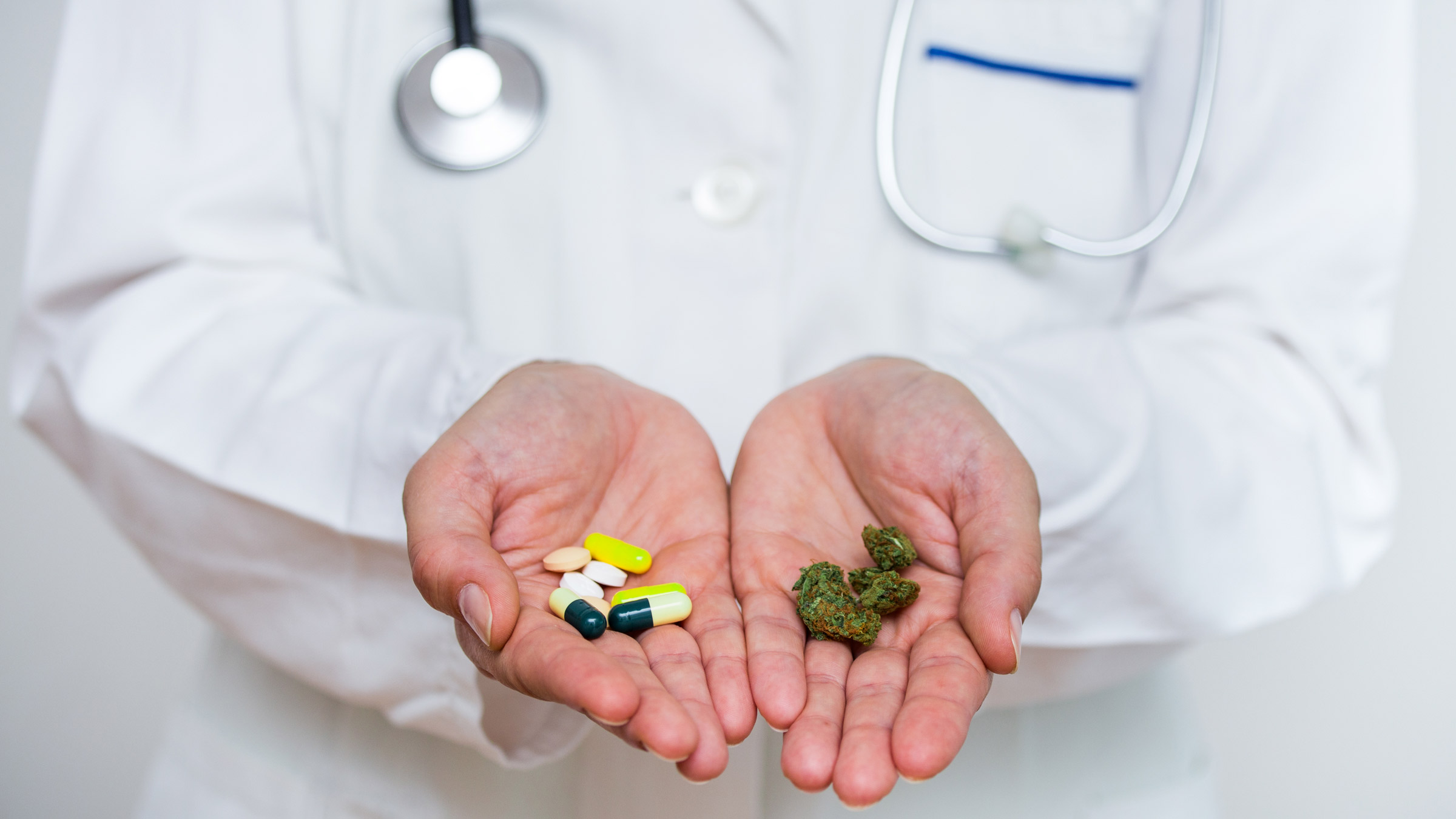 8 Packs Marijuana Screening Cannabinoid THC Drug Tests Weed Urine Fast  Results, 1 - Harris Teeter