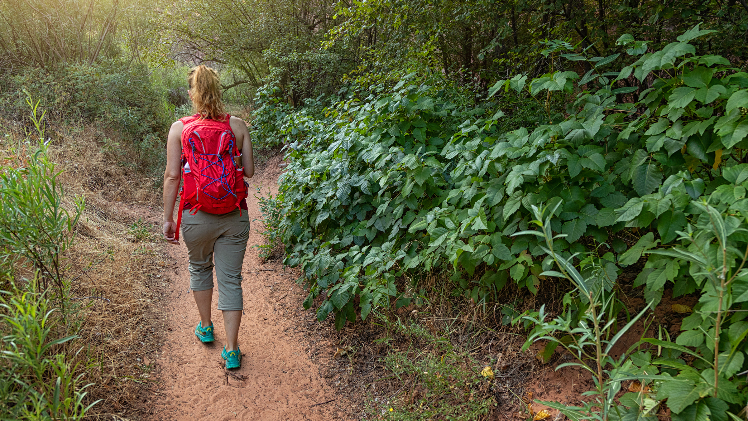 Can Poison Ivy Go Through Your Clothes? GoodRx