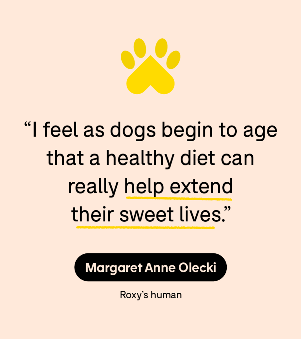 “I feel as dogs begin to age that a healthy diet can really help extend their sweet lives.” — Margaret Anne Olecki, Roxy’s human