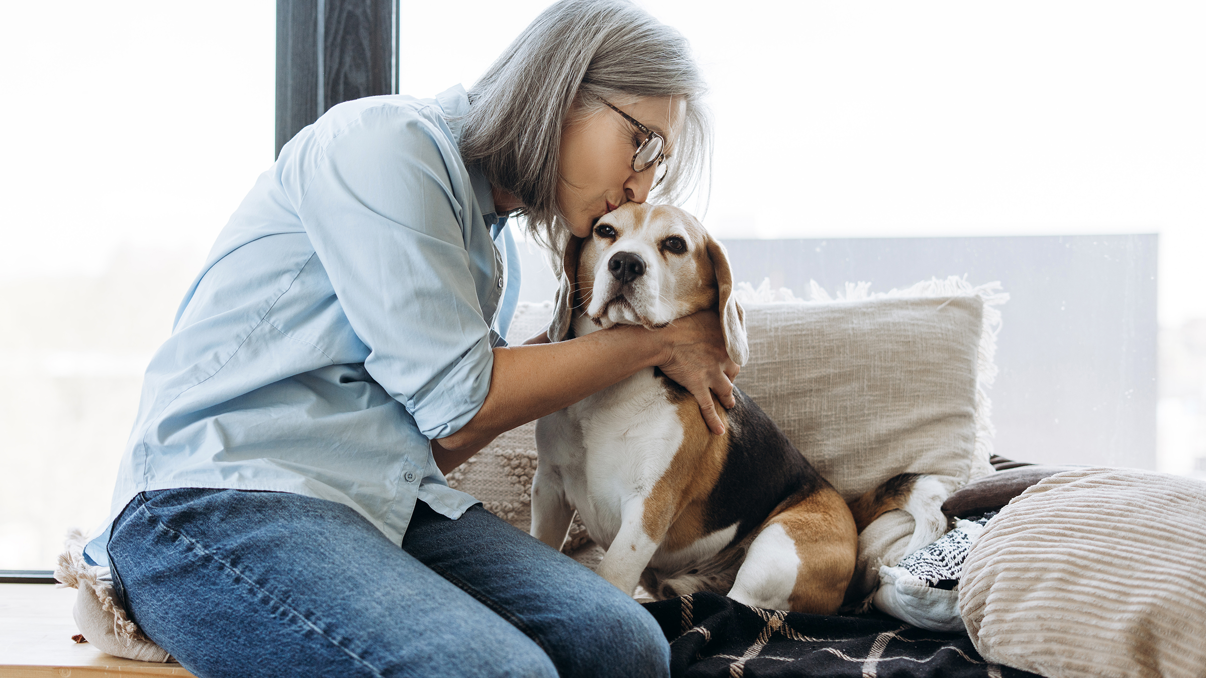 Anti-Aging Pill for Dogs: Unlock Youthful Vitality Today