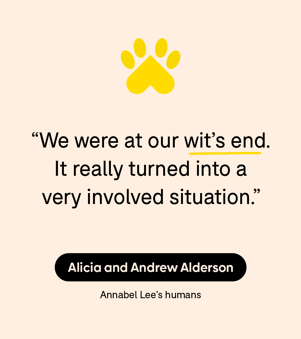 “We were at our wit’s end. It really turned into a very involved situation.” — Alicia Alderson and her husband, Andrew