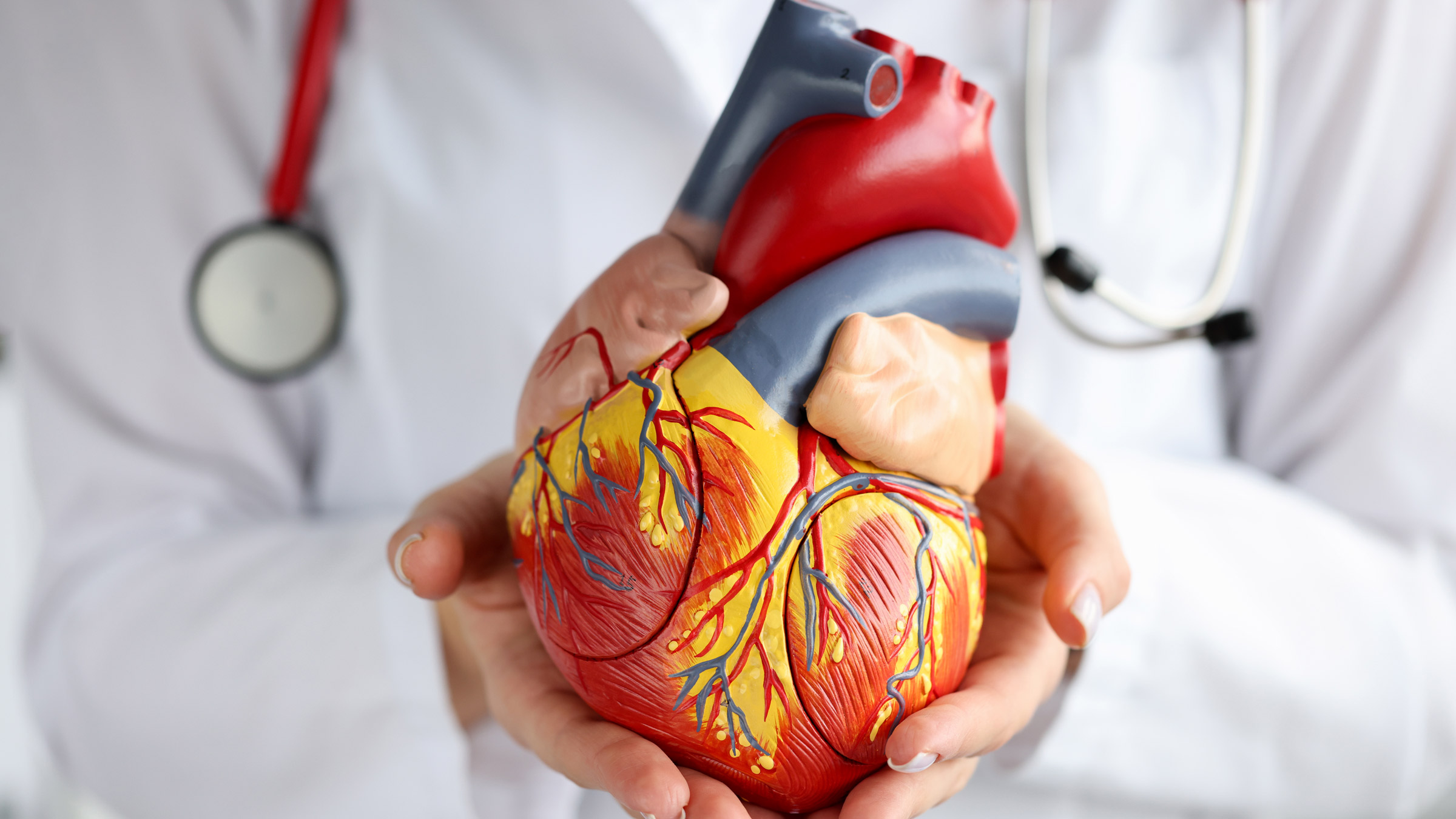 When Should I See A Cardiologist? - GoodRx