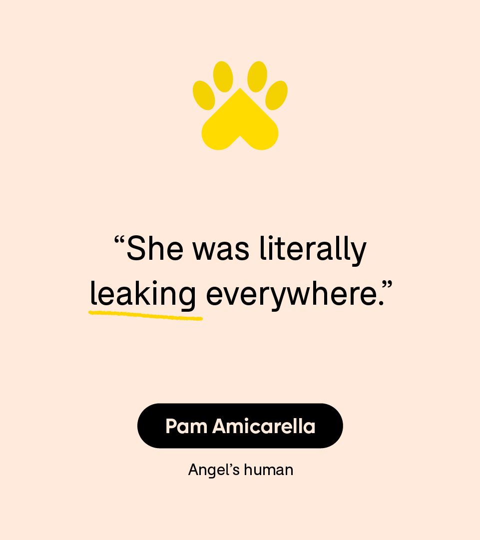 “She was literally leaking everywhere.” — Pam Amicarella
