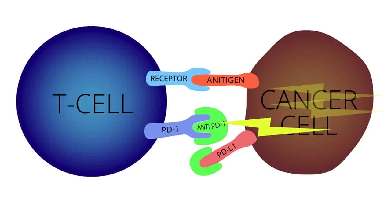 IMMUNOTHERAPY FOR LUNG CANCER NAMES visual data 5
