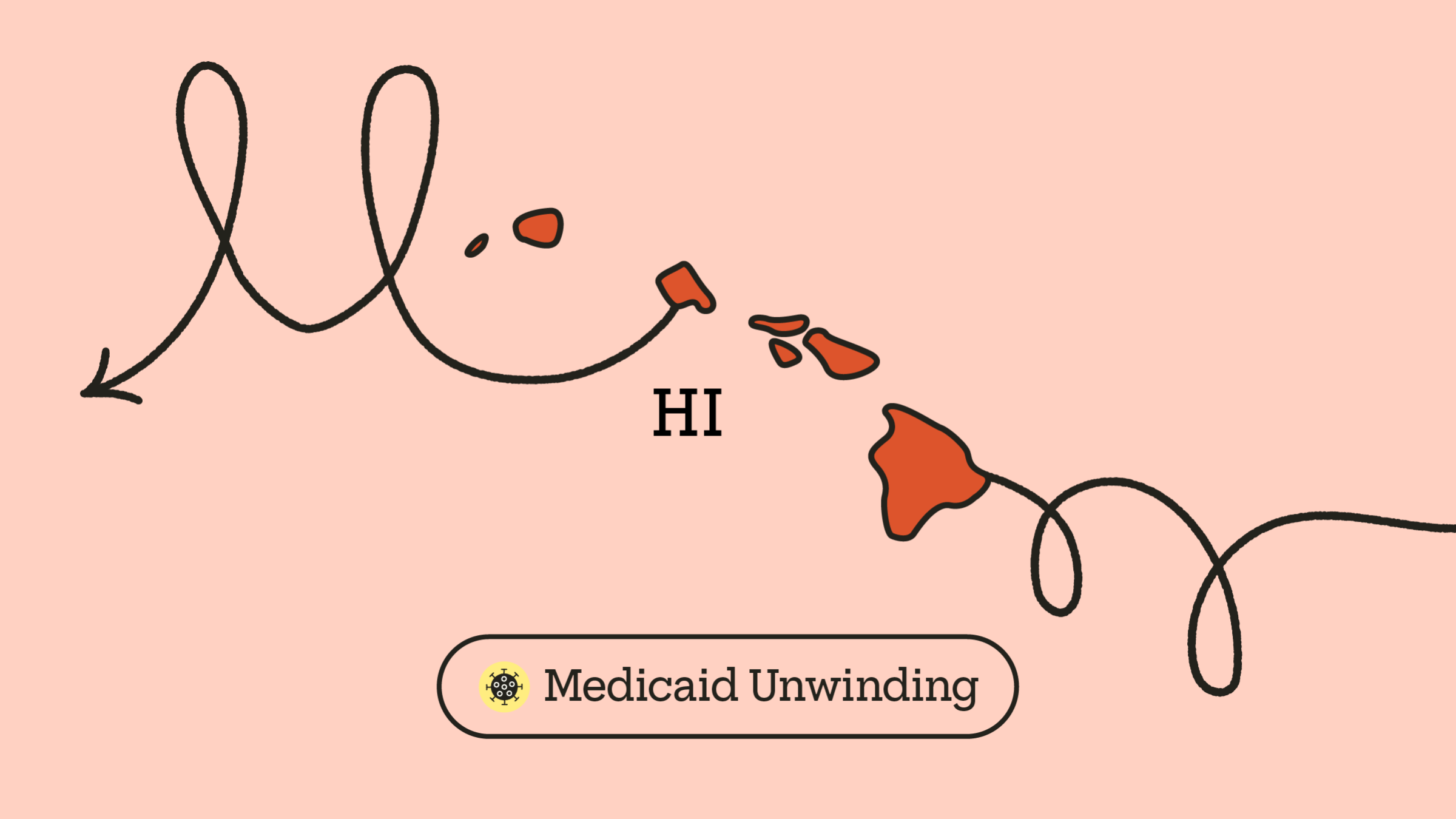 Hawaii What to Do After Losing Medicaid Coverage GoodRx