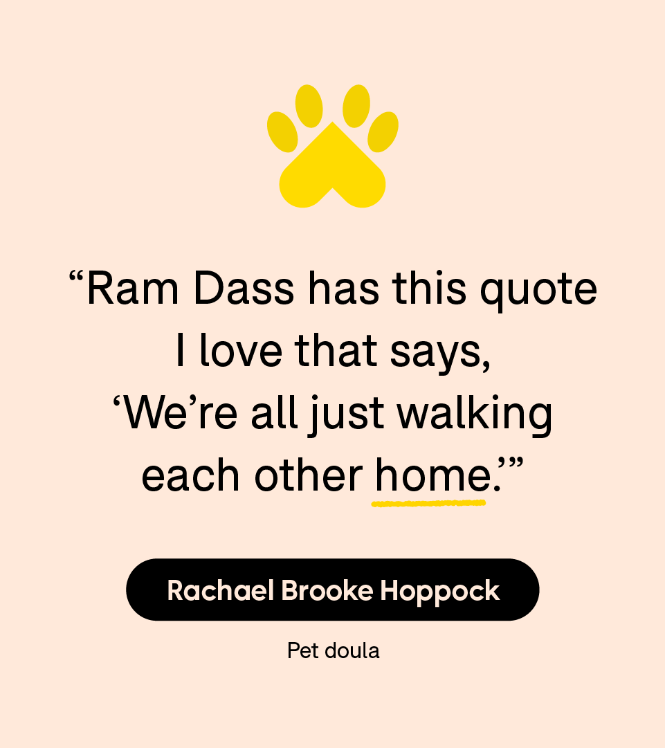 “Ram Dass has this quote I love that says, ‘We’re all just walking each other home.’” — Rachael Brooke Hoppock