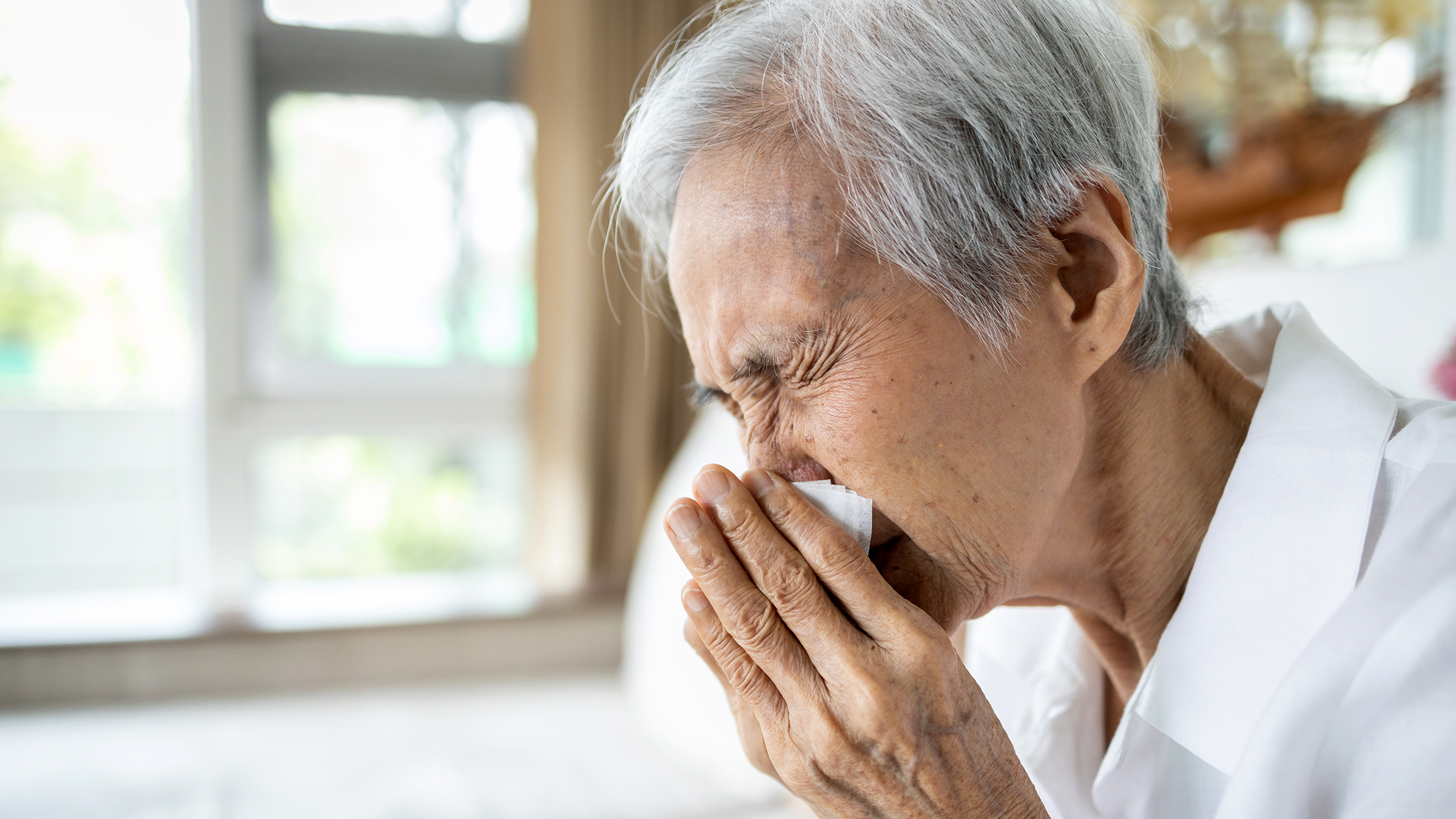 Allergy Medicines for Seniors: Your Guide to Finding Relief - GoodRx