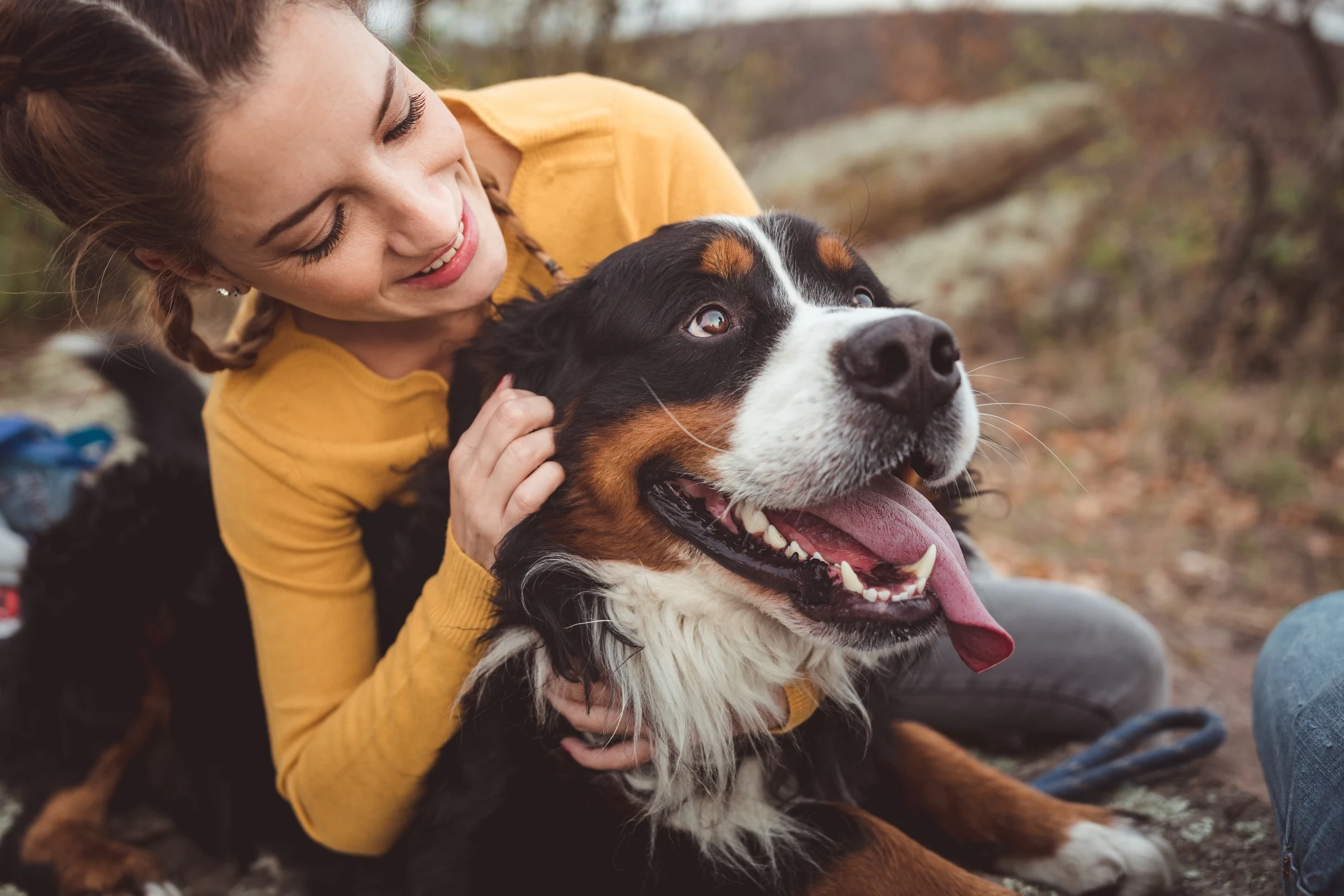 Seven Common Heartworm Medications for Dogs