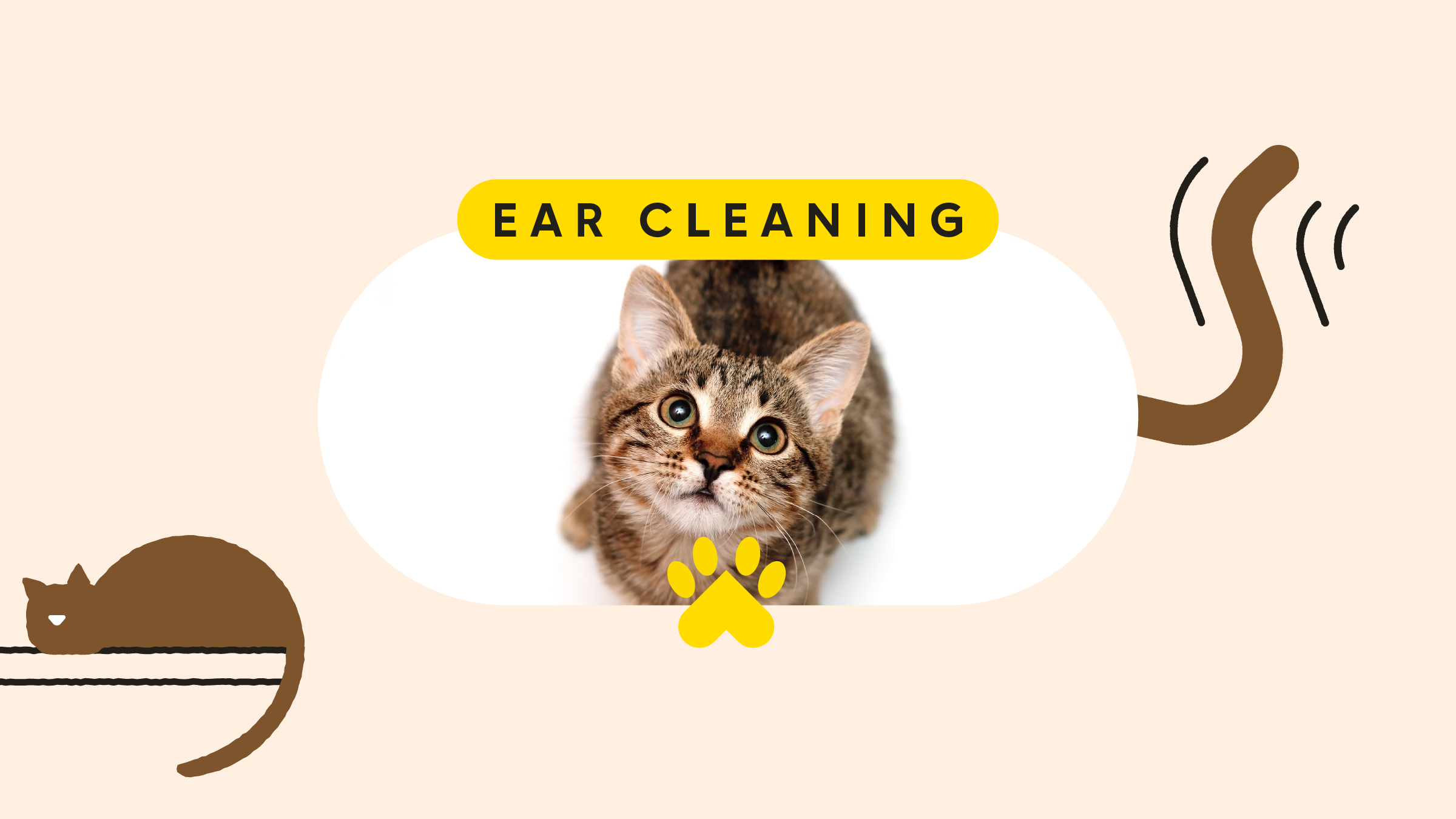 Learn to Read Your Cat's Ears