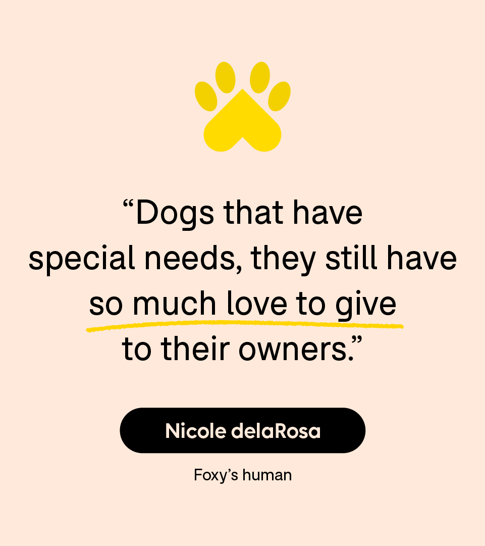 “Dogs that have special needs, they still have so much love to give to their owners.” — Nicole delaRosa