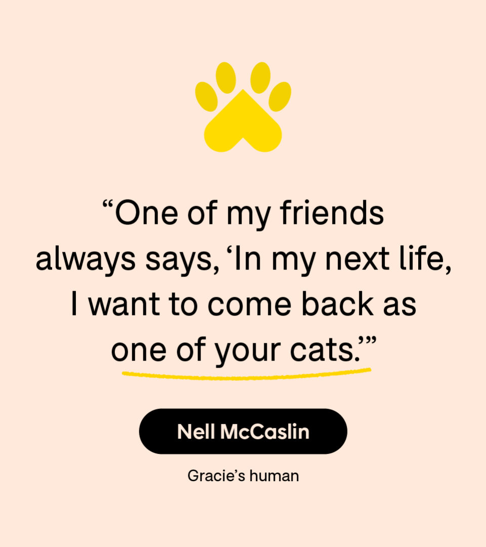 “One of my friends always says, ‘In my next life, I want to come back as one of your cats.’” — Nell McCaslin