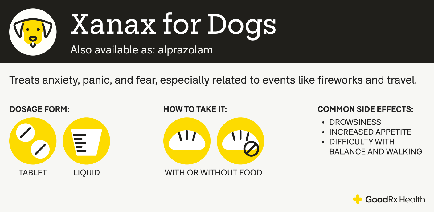 An infographic explaining Xanax for dogs, including its alternative names, uses, dosage forms, administration guidelines, and common side effects.
