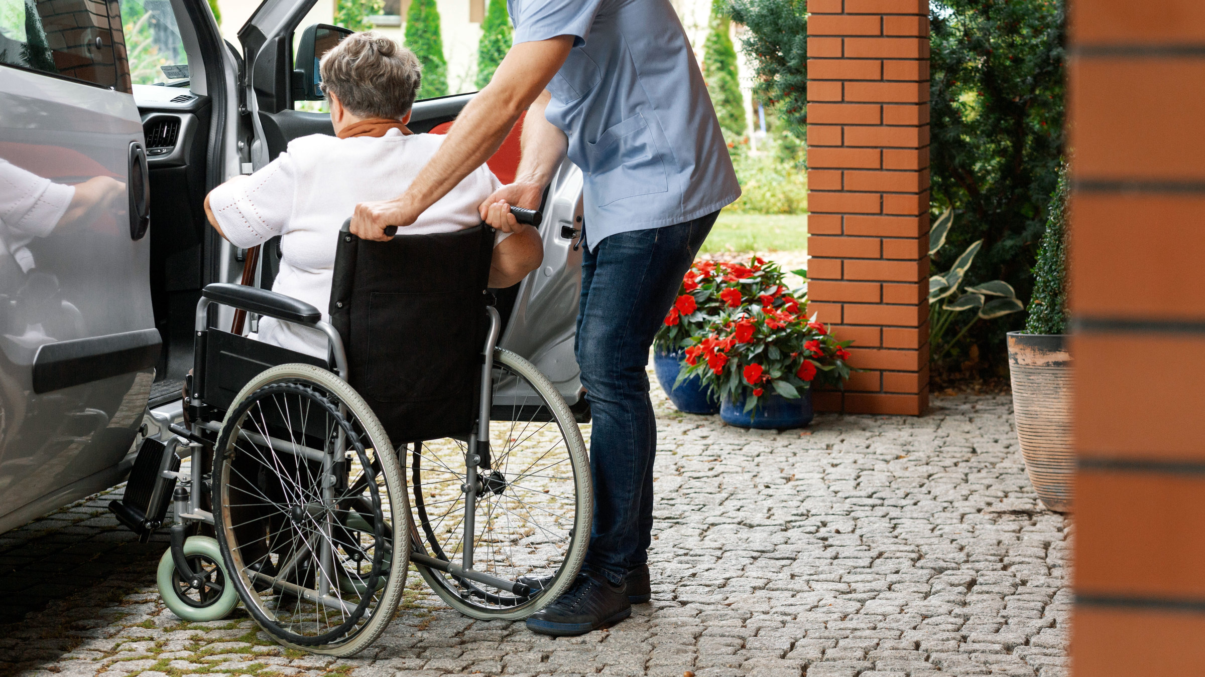 Senior Couple Man In Wheelchair Window Shopping Stock Photo - Download  Image Now - Community Outreach, Disability, Pushing - iStock