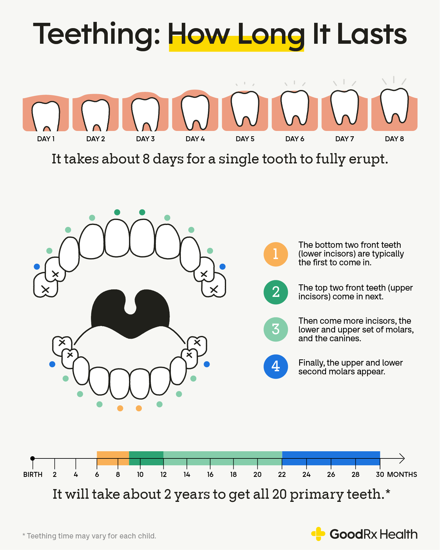 An infographic showing how long teething last