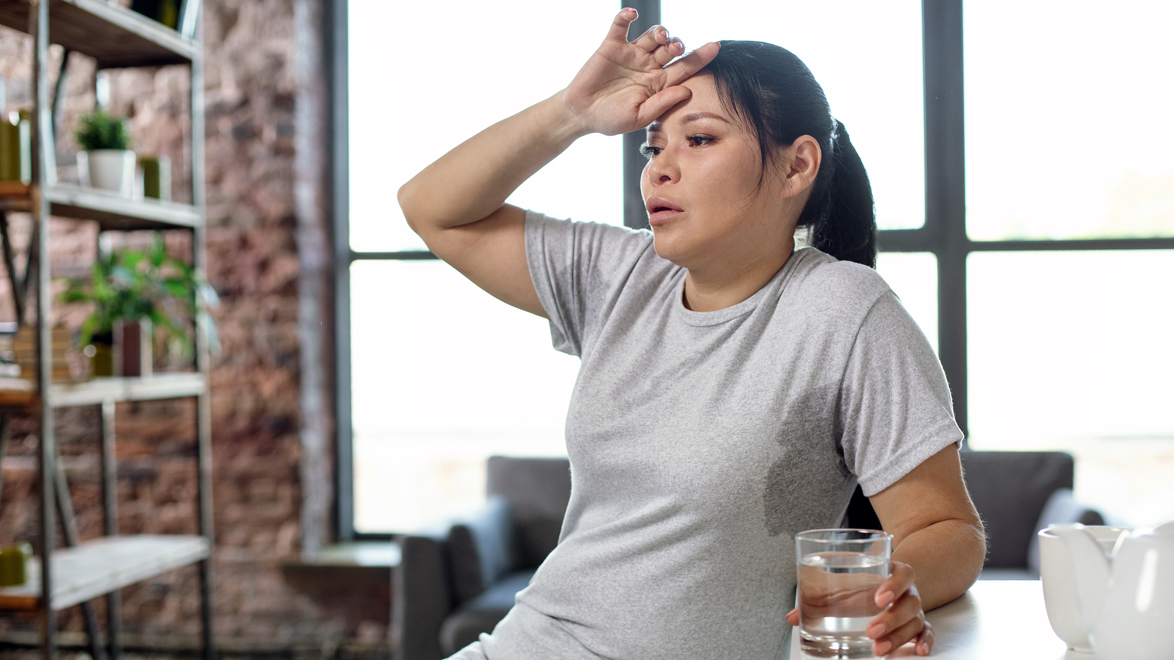 Perimenopause Hot Flashes: Things to Know