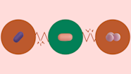 7 Statin Interactions To Check Before Taking One GoodRx