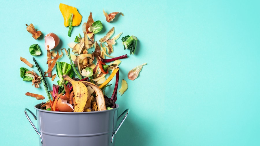 Produce from Purchase to Plate — Steps to Reduce Food Waste