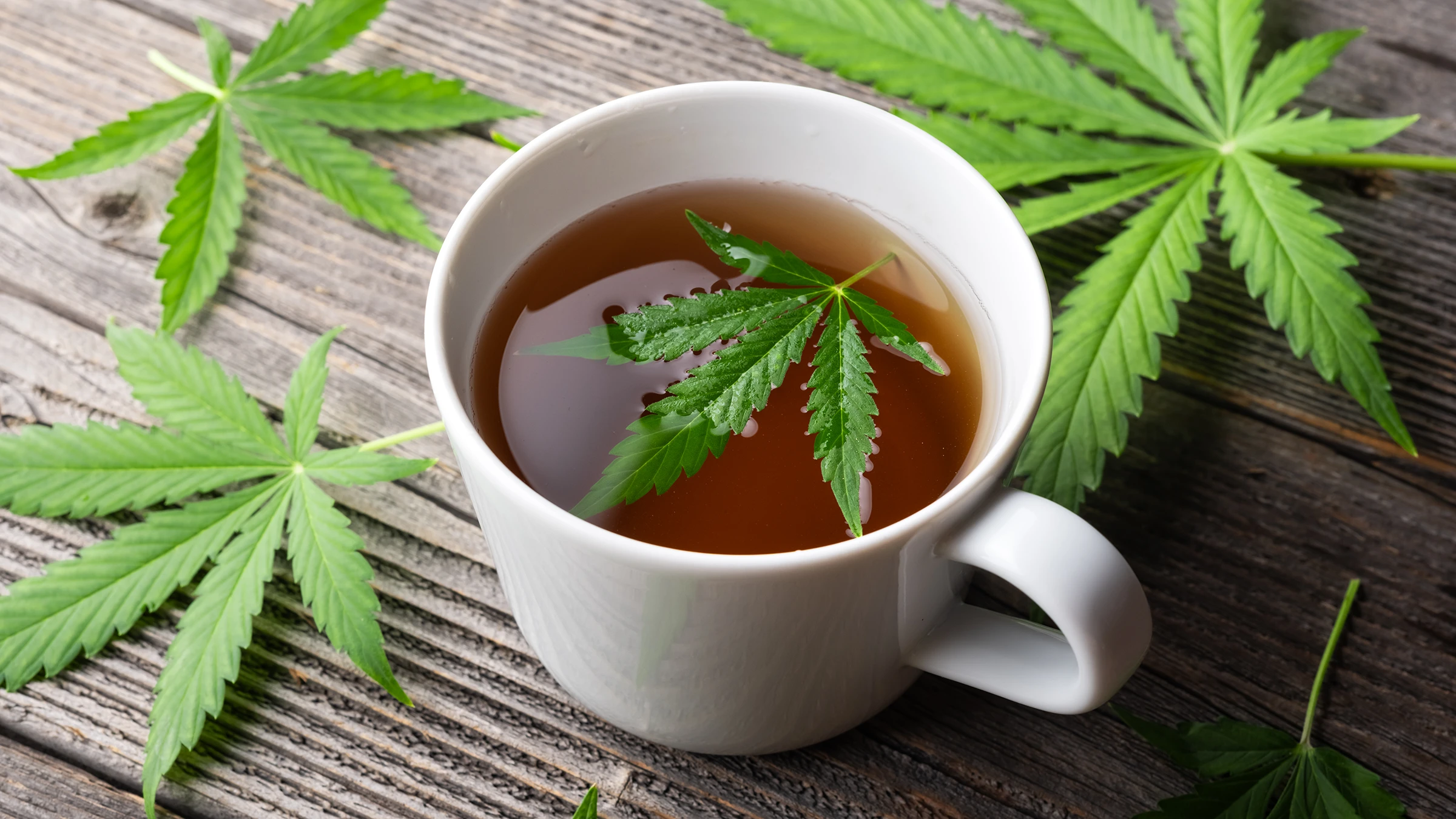 glp 1 and thc Ozempic Gummies: GLP-1 Edible Guide GLP-1 Analogues in the Neurobiology