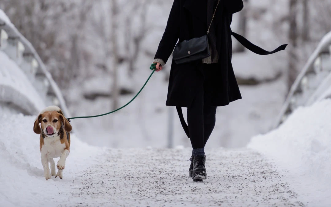 How to Keep Your Mental Health in Check During the Holidays