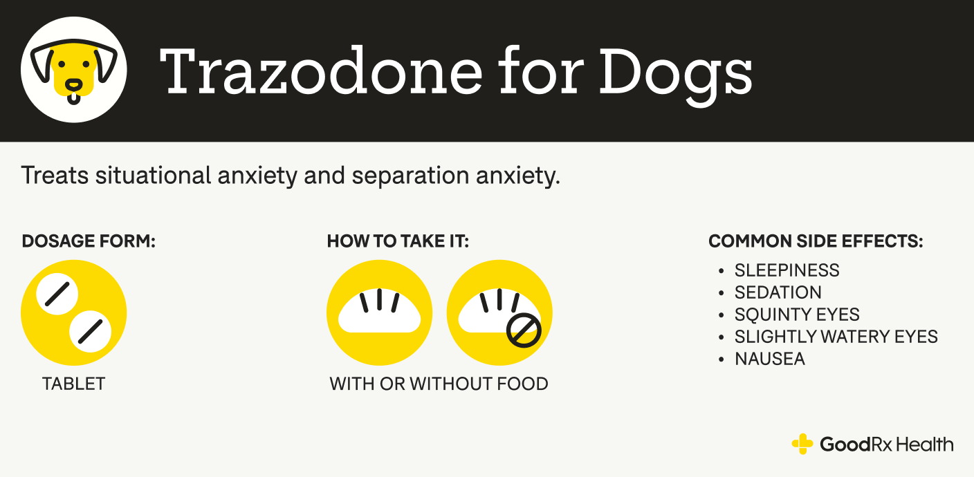 An infographic explaining Trazodone for dogs, including its uses, dosage forms, administration guidelines, and common side effects.