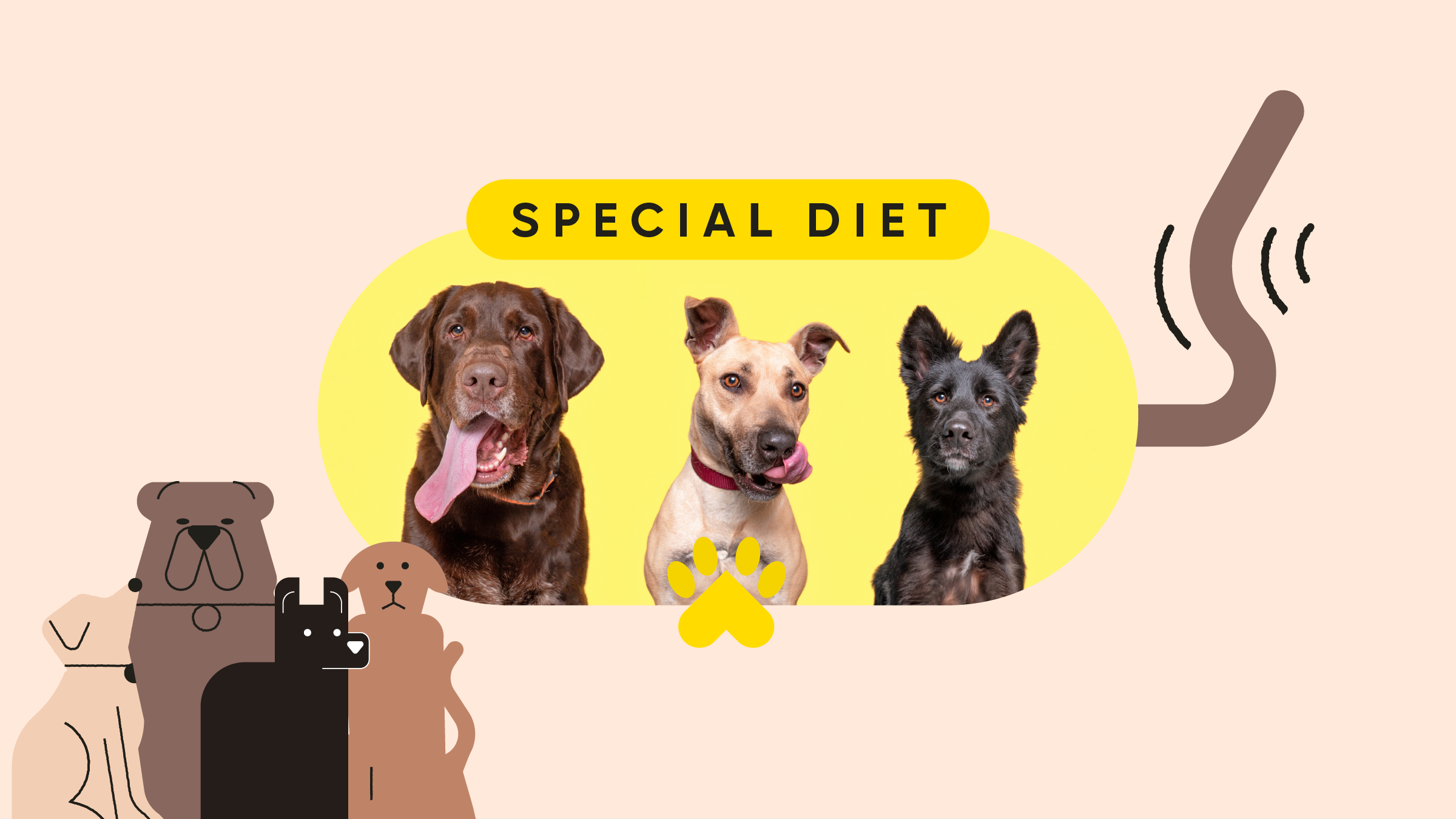 is it cheaper to feed your dog human food