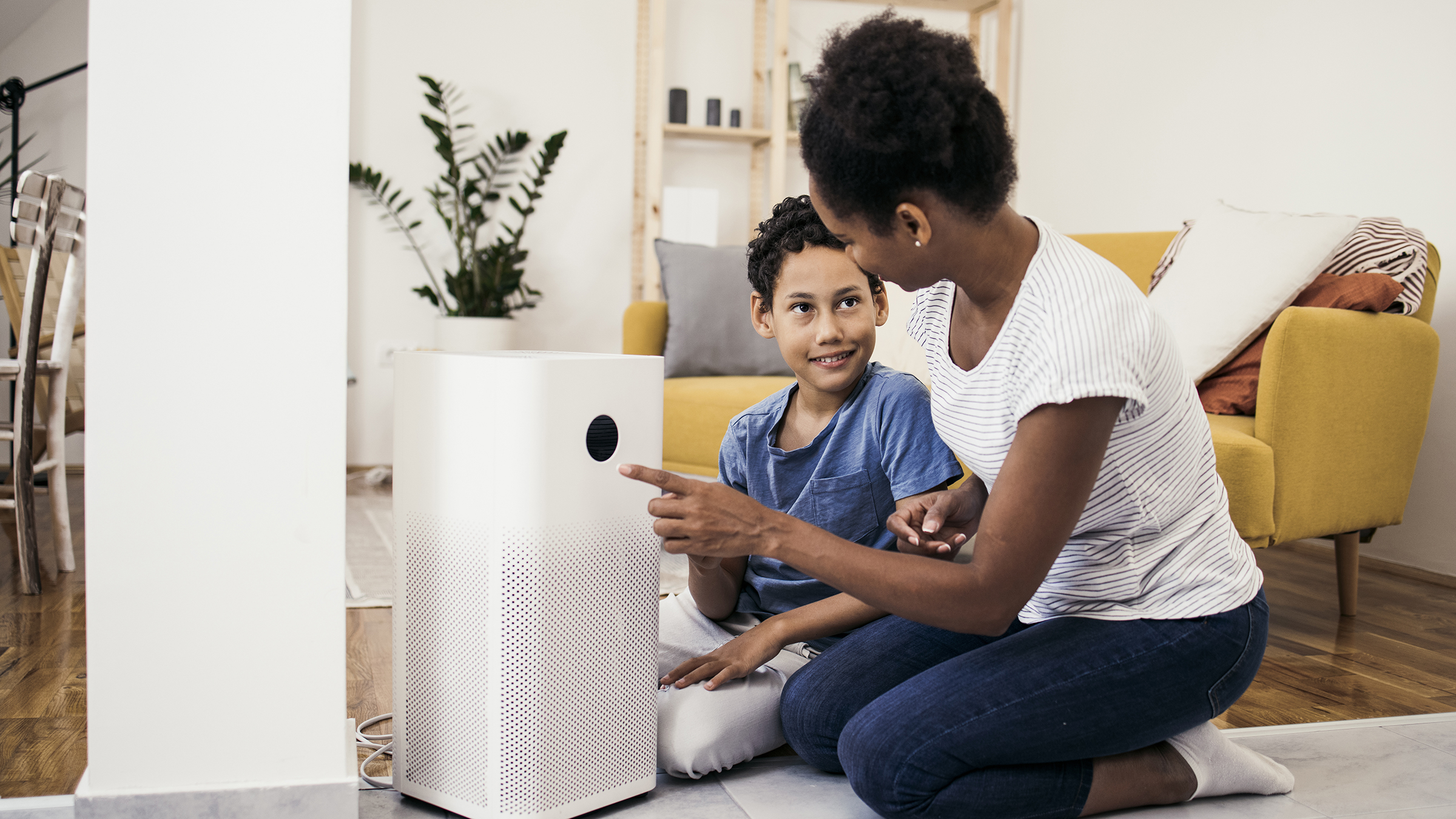 Best air purifiers for allergies 2024: Tried and tested