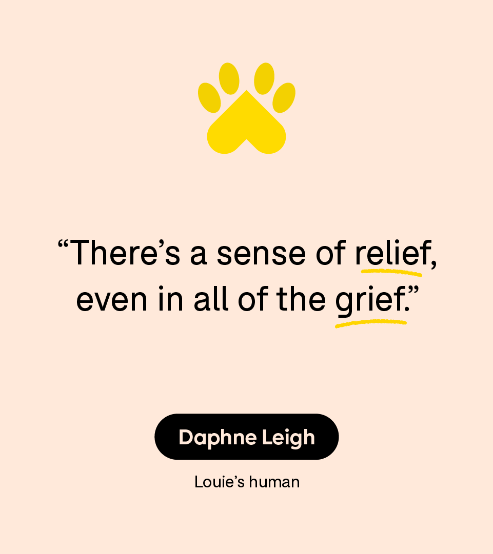 “There’s a sense of relief, even in all of the grief.” — Daphne Leigh, Louie’s human