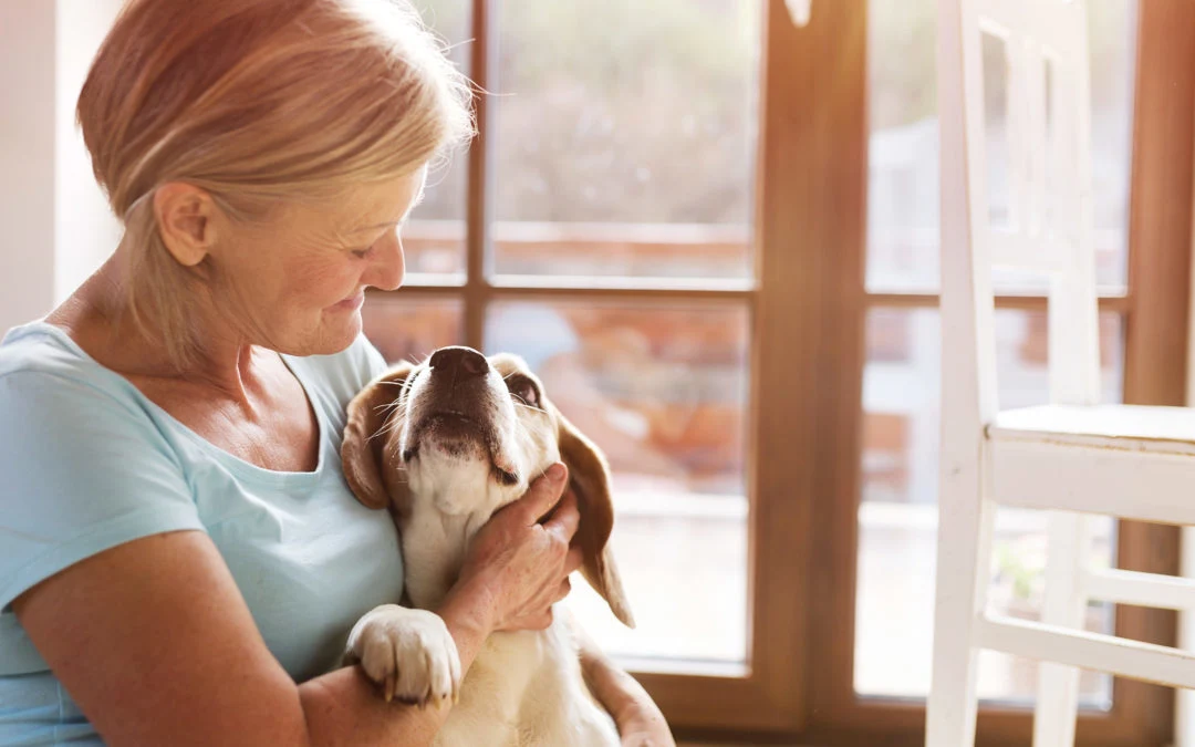 Loving an Aging Pet: How to Keep Pets Happy Through the Golden Years