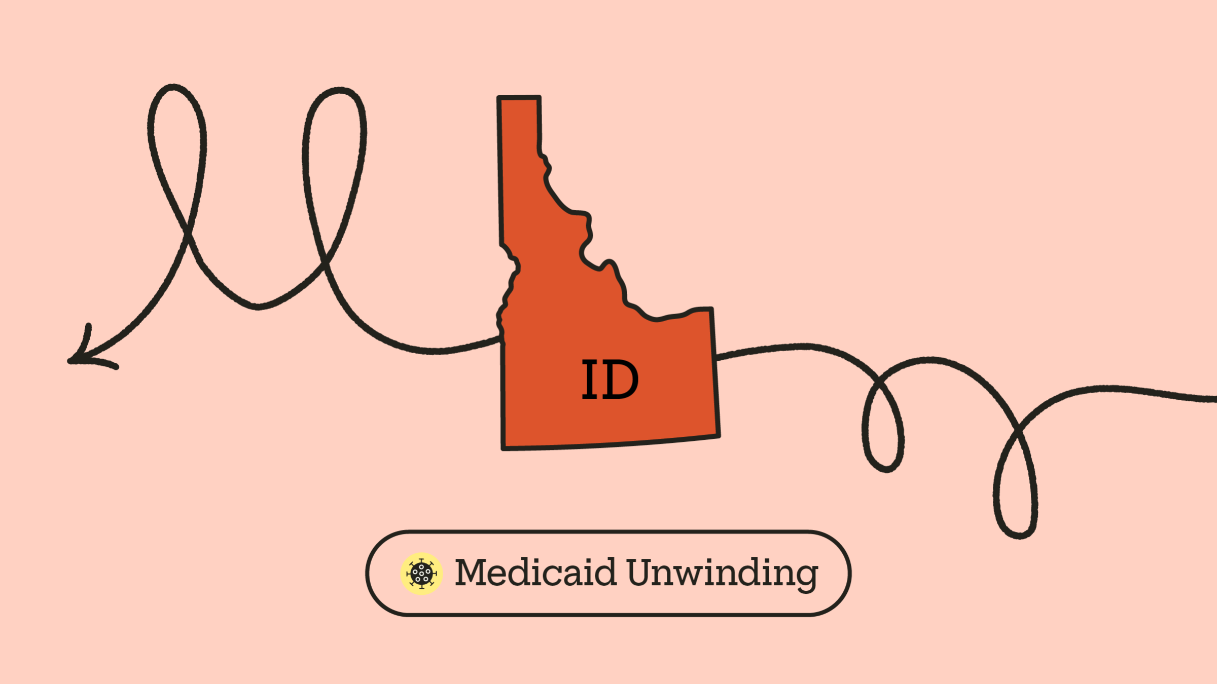 Idaho What to Do After Losing Medicaid Coverage GoodRx