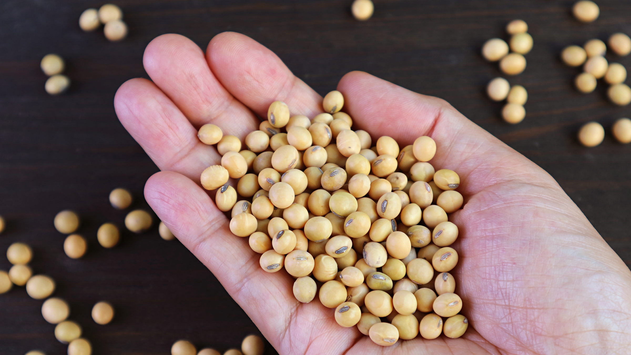What Happens to Your Body When You Eat Soy Every Day