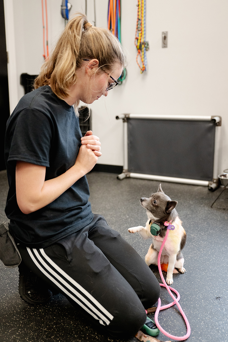 Beck Skaggs is training one of her dog clients.