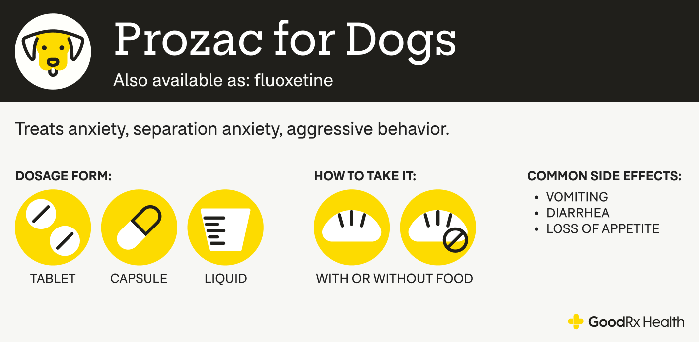 An infographic explaining Prozac for dogs, including its alternative names, uses, dosage forms, administration guidelines, and common side effects.