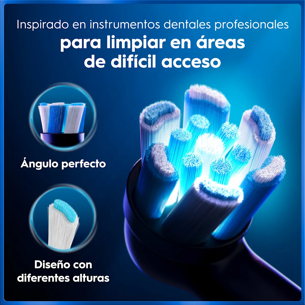ffa8e9ba 5585 4894 bd9c 3562c6a834a4 opt