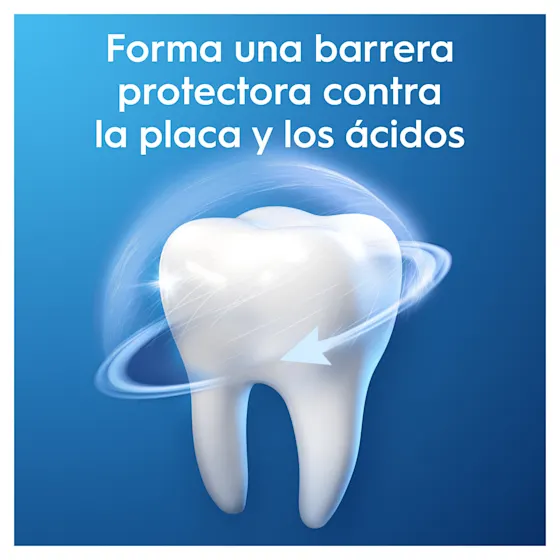 Una barrera protectora alrededor de un diente blanco, ilustrando la protección contra la placa y los ácidos.