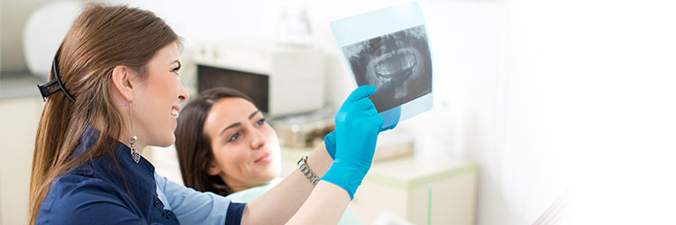 Anatomía de los dientes: ¿Cuántos dientes tienen los humanos? article link