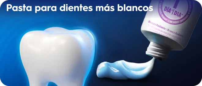 El sistema de blanqueamiento