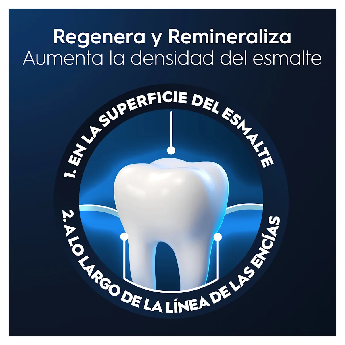 Regeneración y remineralización del esmalte dental con Oral-B, actuando en la superficie y a lo largo de la línea de las encías.