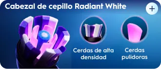 El sistema de blanqueamiento