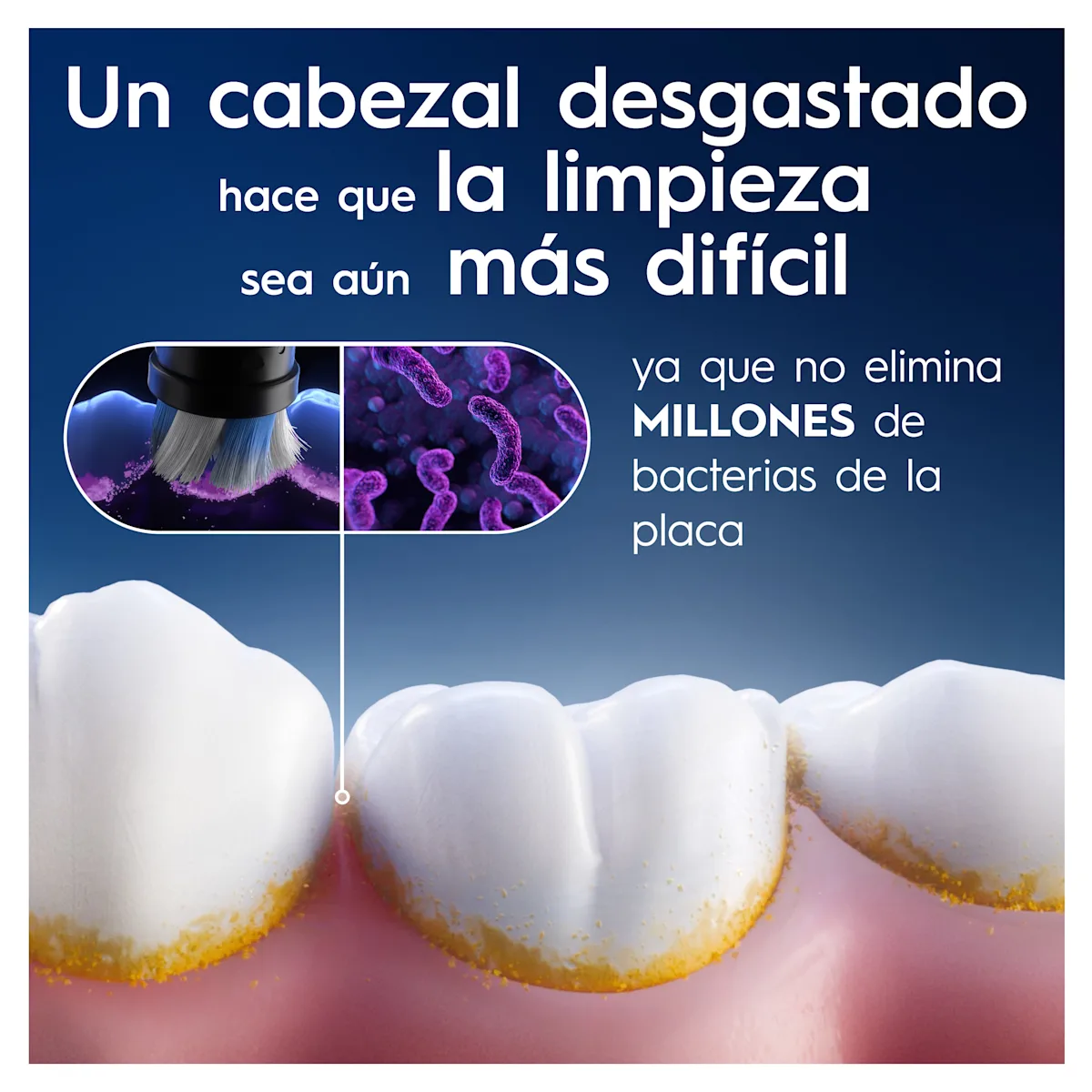 Un cabezal desgastado de Oral-B hace que la limpieza sea más difícil, ya que no elimina millones de bacterias de la placa.