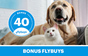 Get 40 bonus Flybuys with your next new policy 