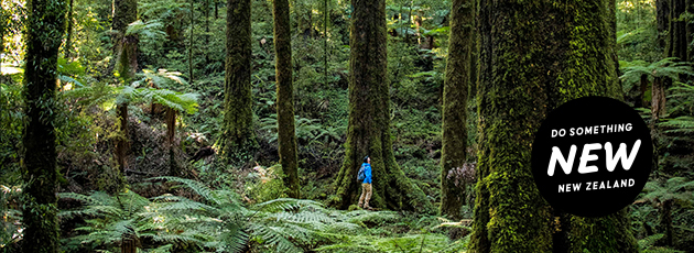 Get 10% off Foris Eco-Tours Rotorua Day Hike 