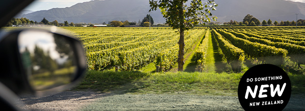 Save $50pp on any full day wine tour at Little Marlborough Wine Tours